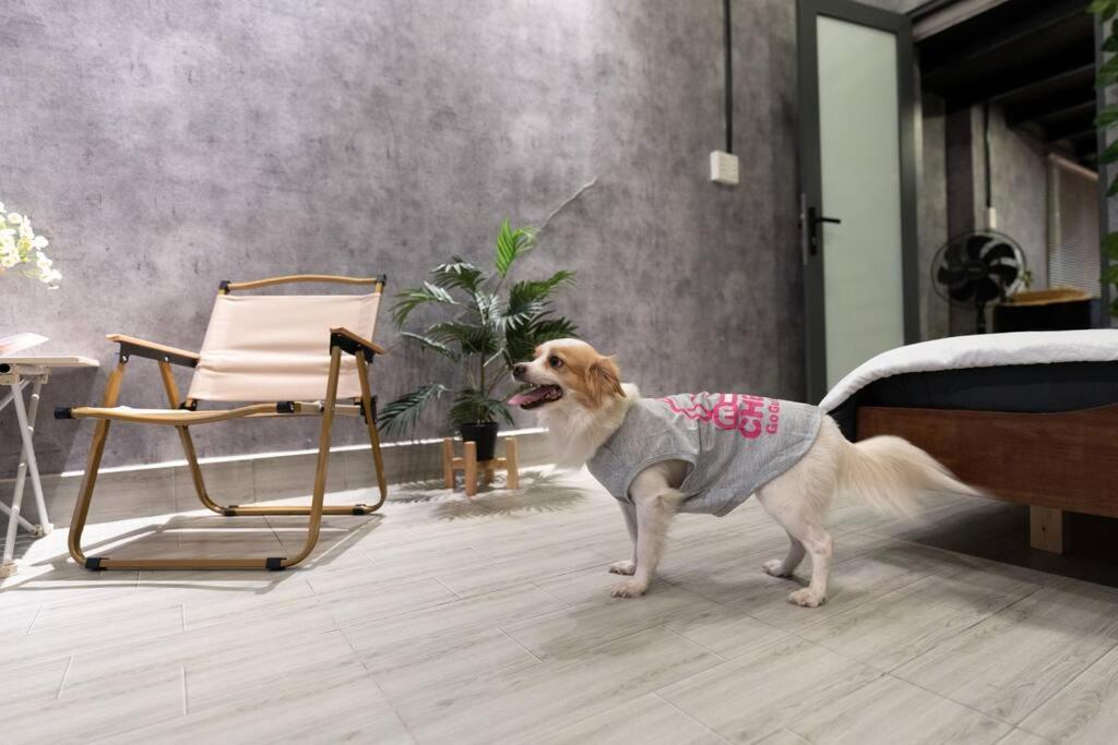 Appartement 2 Bedroom Industrial In Saigon *